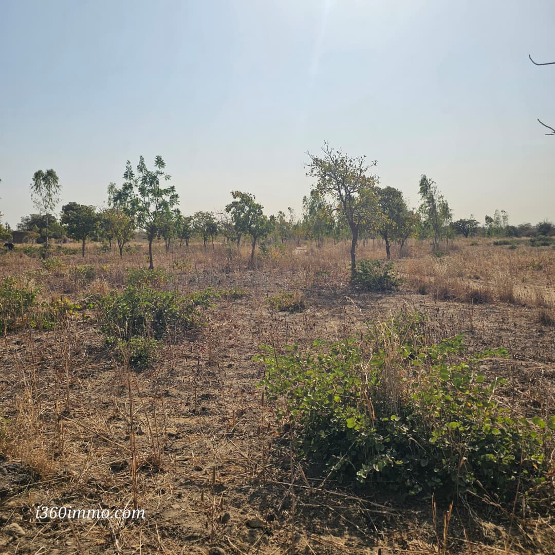 Terrains agricoles hors lotissement à vendre – Komsilga